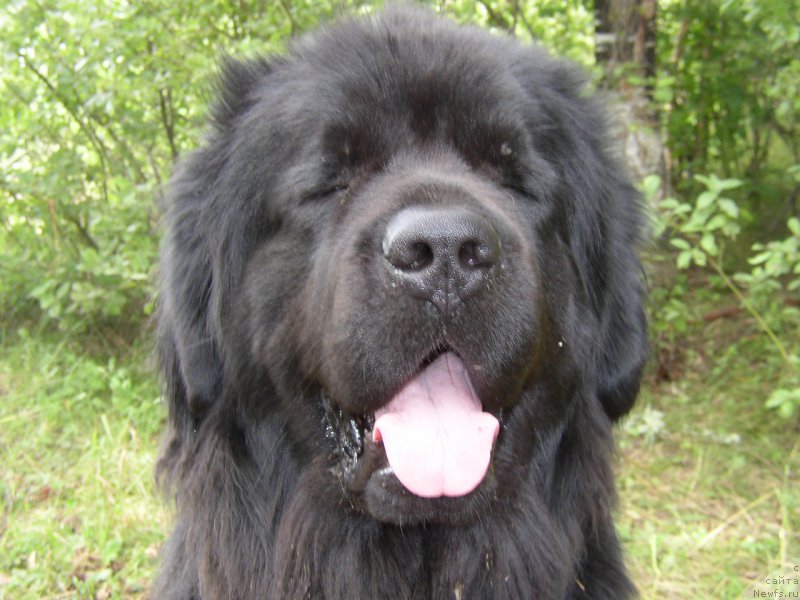 Фотография № 167406