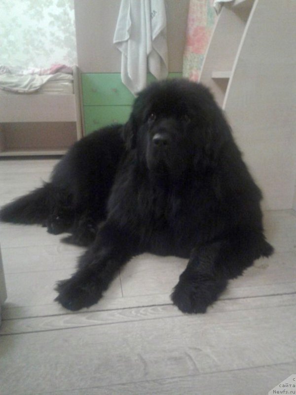 Фотография № 167410