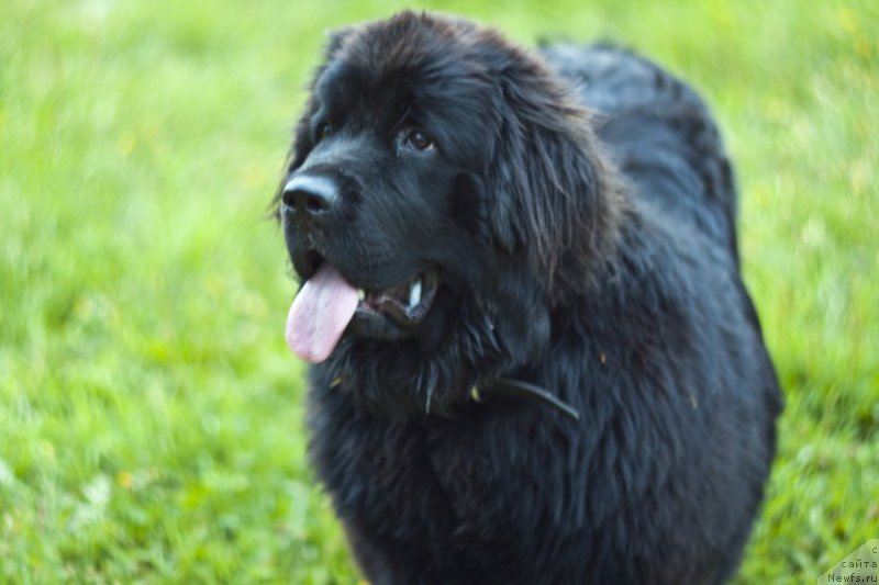 Фотография № 167411