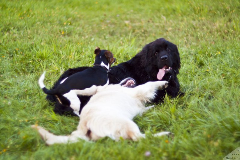 Фотография № 167412