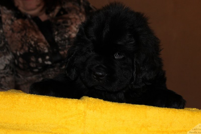 Фотография № 167417