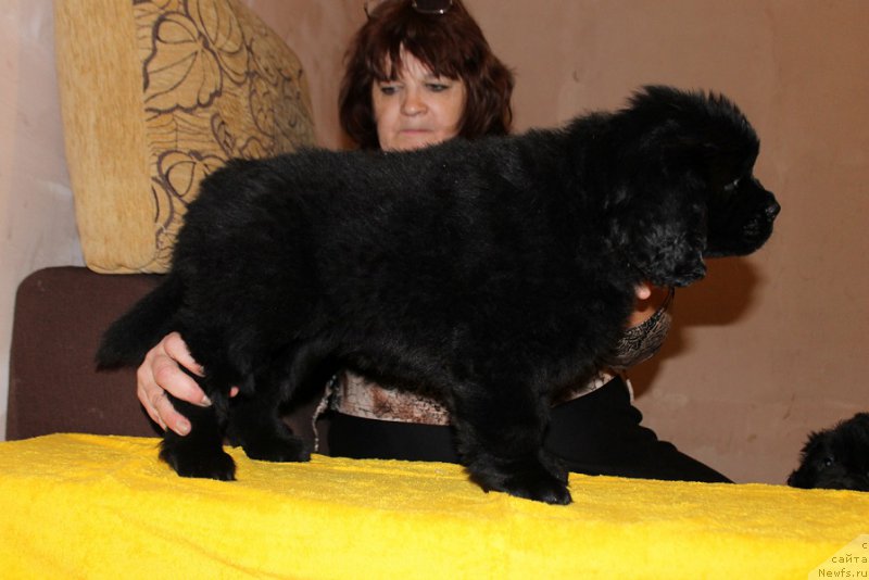 Фотография № 167418