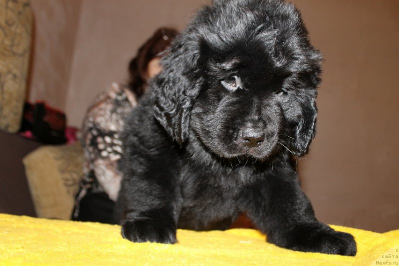 Фотография № 167419