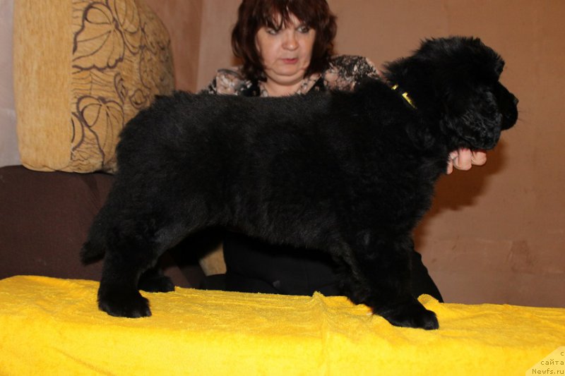 Фотография № 167420