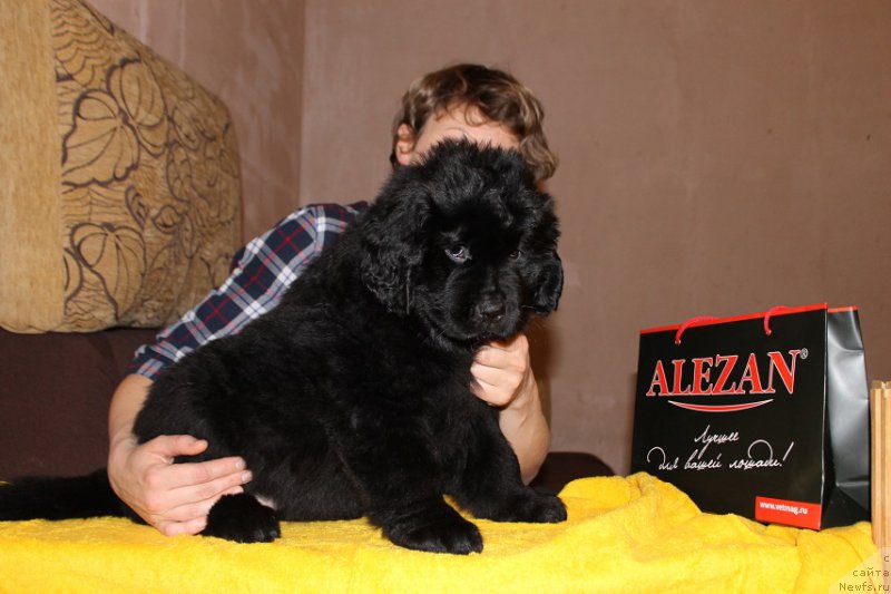 Фотография № 167422