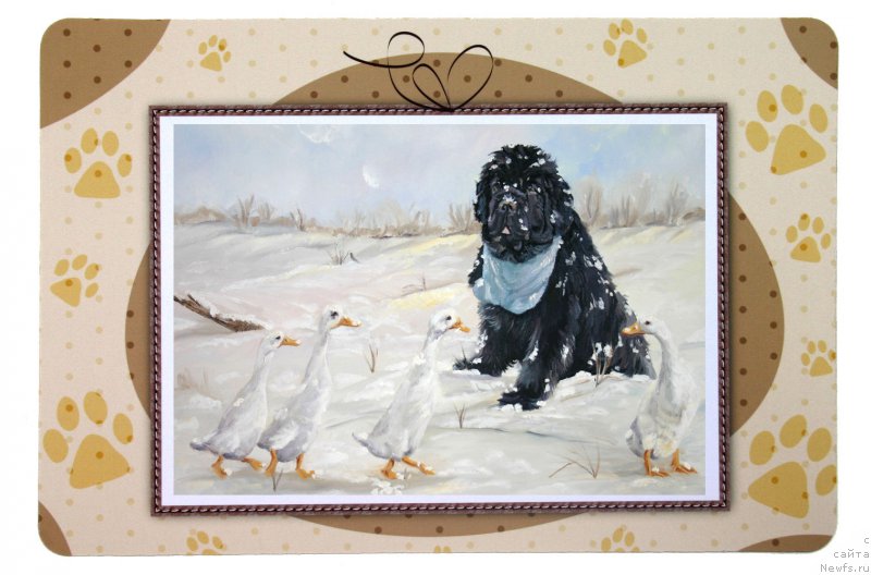 Фотография № 167441