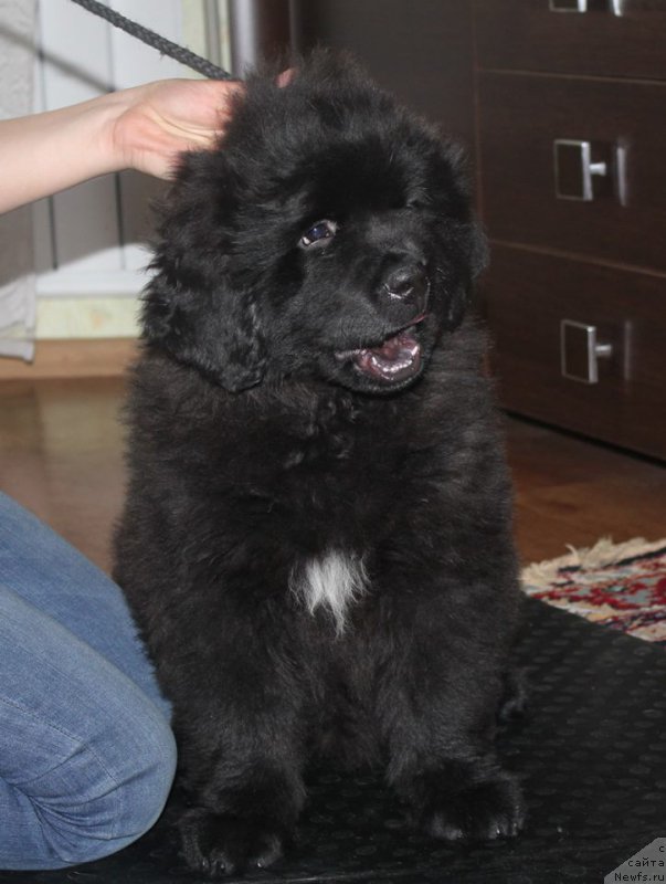 Фотография № 167459