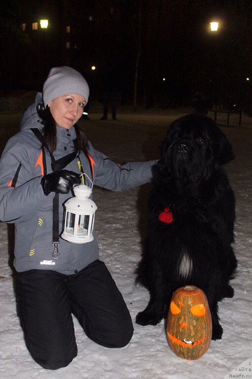 Фотография № 167515