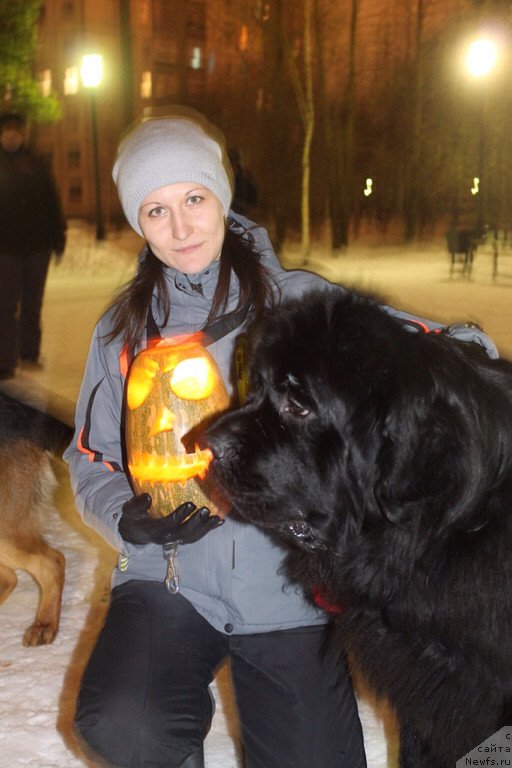 Фотография № 167516