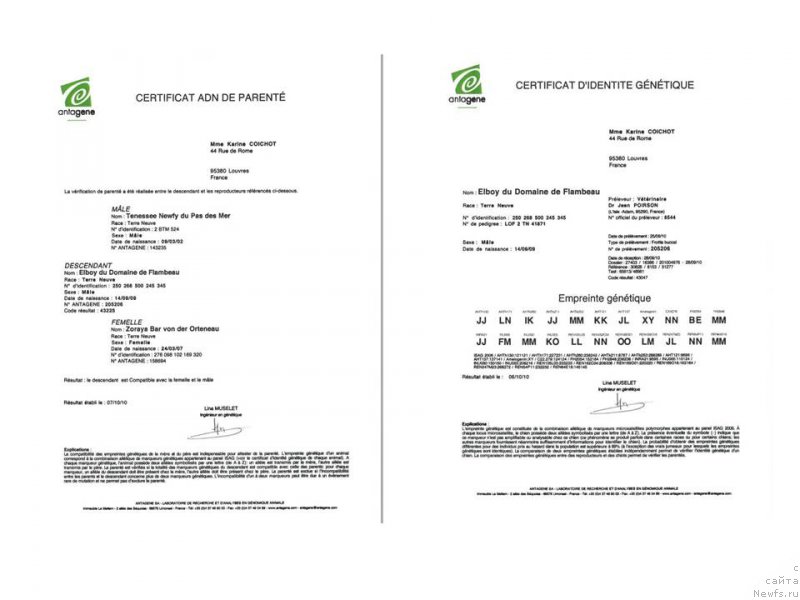 Фотография № 167541