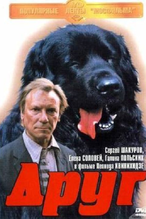 Фото: ньюфаундленд Ют Гай