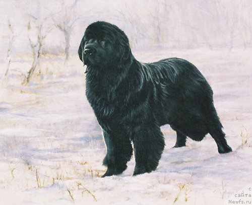 Фотография № 167547