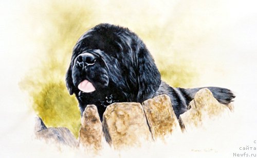 Фотография № 167548