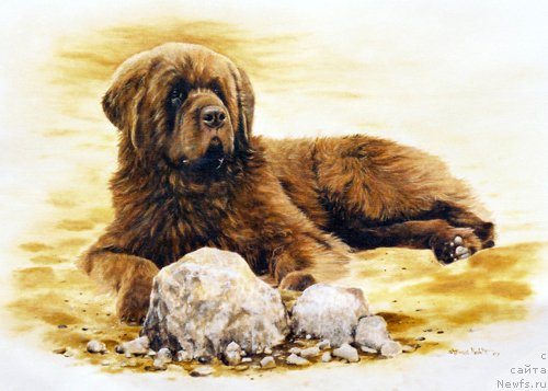 Фотография № 167550