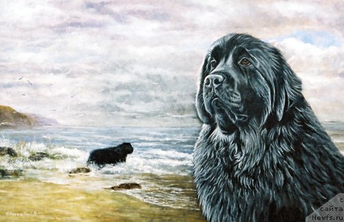 Фотография № 167552