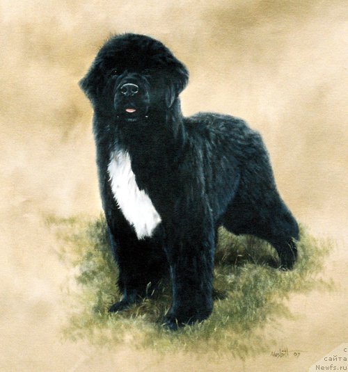 Фотография № 167553