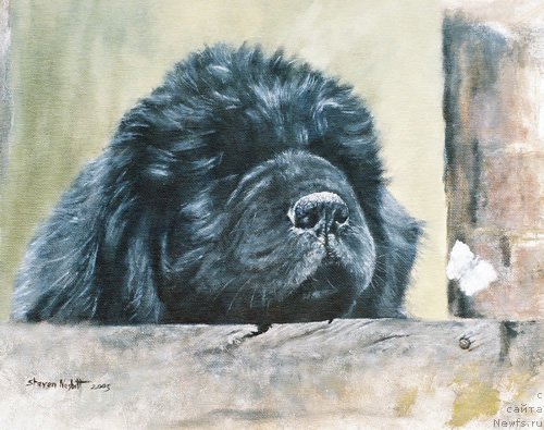 Фотография № 167554