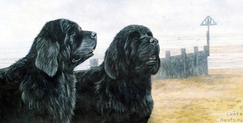 Фотография № 167556