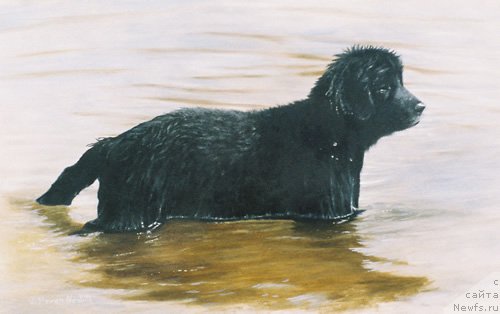 Фотография № 167557