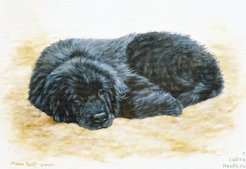 Фотография № 167558