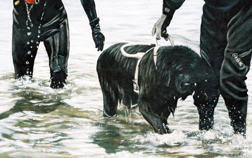 Фотография № 167559