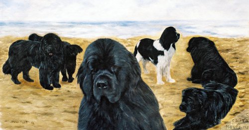 Фотография № 167560