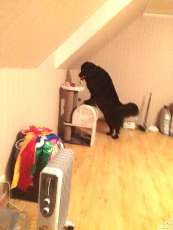 Фотография № 167564