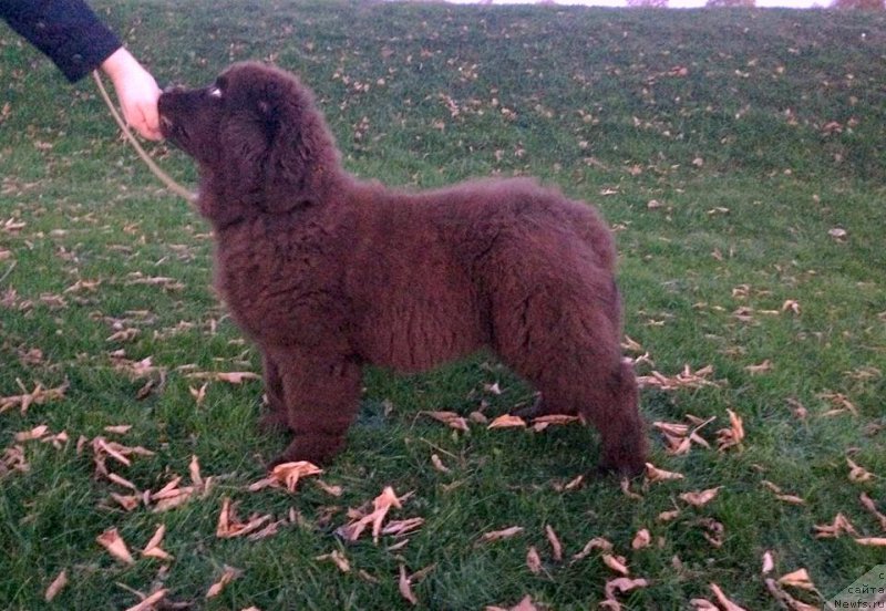 Фотография № 167567