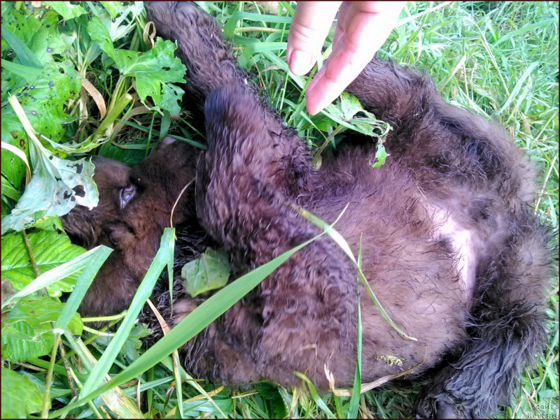 Фотография № 167573