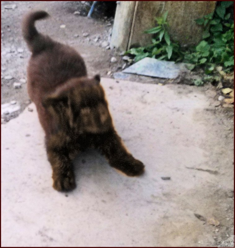 Фотография № 167587