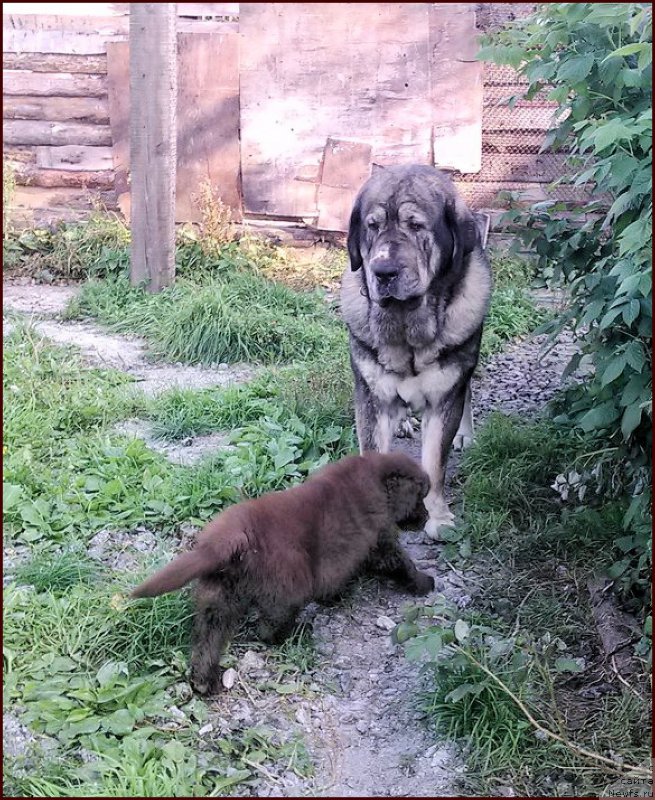 Фотография № 167588