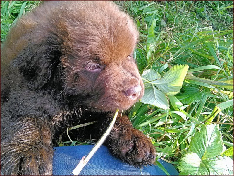 Фотография № 167589