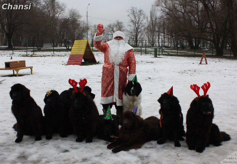 Фото: Александр Бурмистров