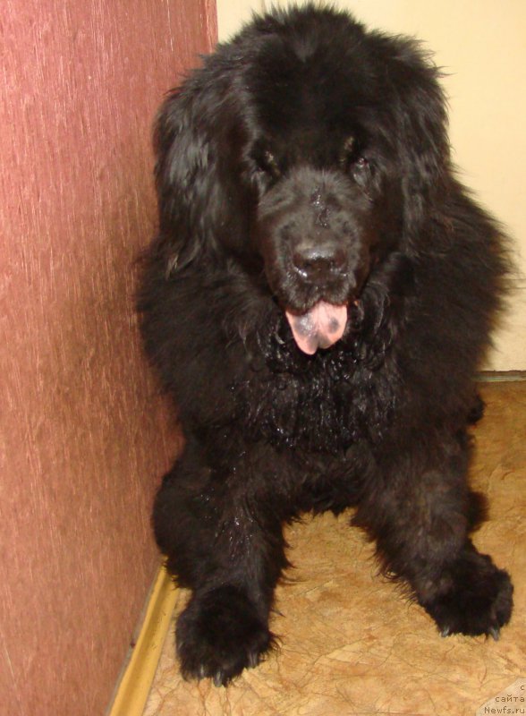 Фотография № 167621