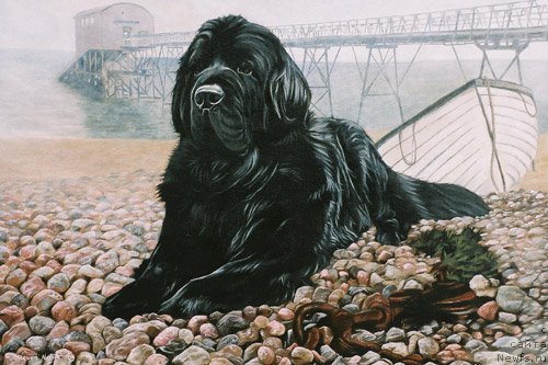 Фотография № 167637