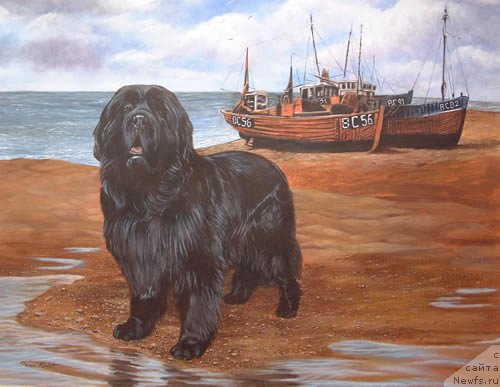 Фотография № 167641