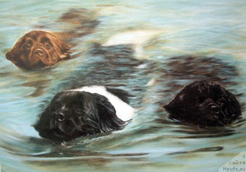 Фотография № 167643