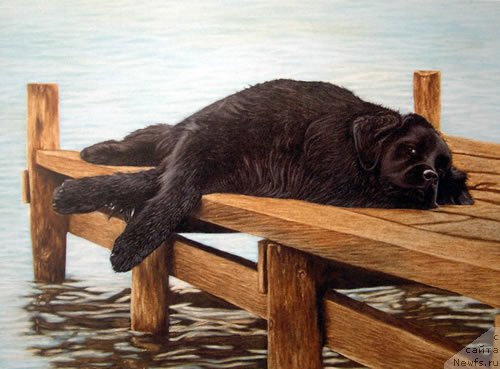 Фотография № 167647