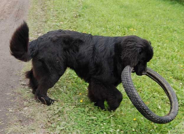 Фотография № 16765