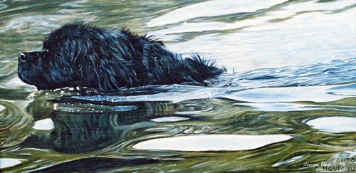 Фотография № 167651