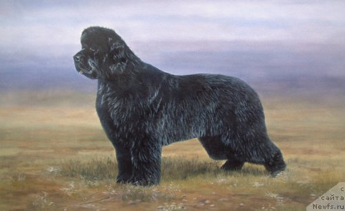 Фотография № 167653