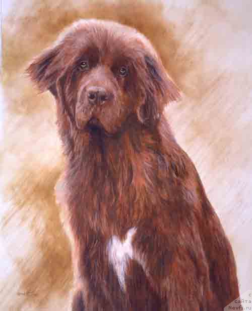 Фотография № 167659