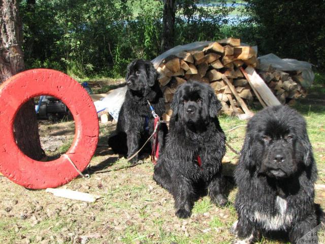 Фотография № 16766