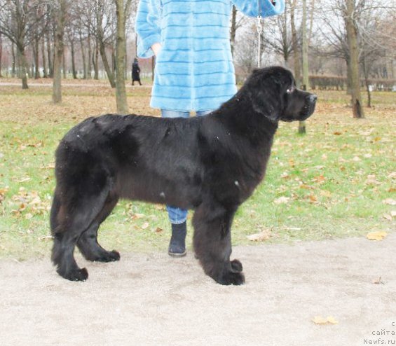 Фотография № 167664