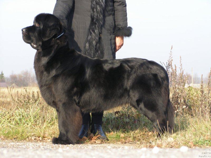 Фотография № 167675