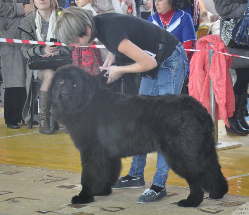 Фотография № 167691