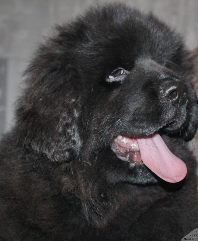 Фотография № 167693