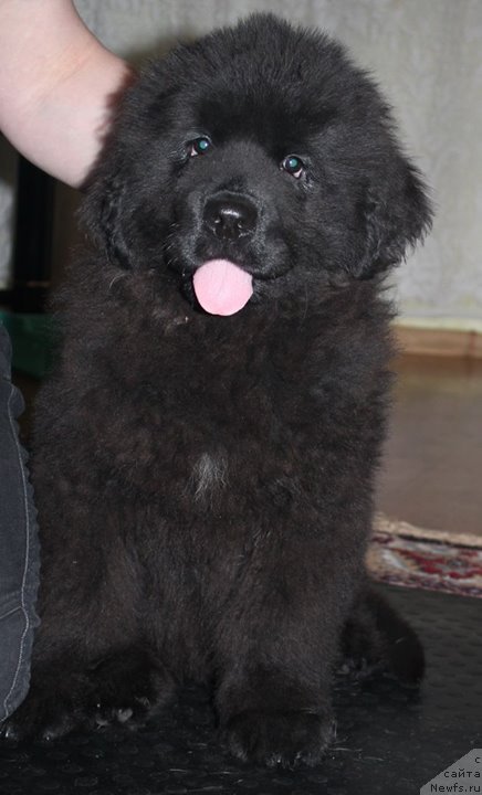 Фотография № 167696