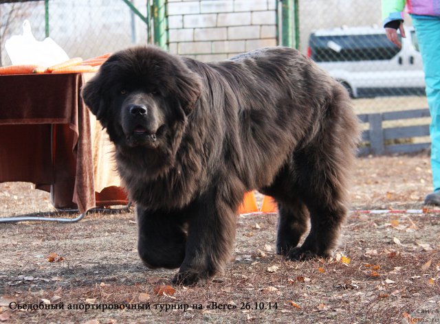 Фотография № 167697