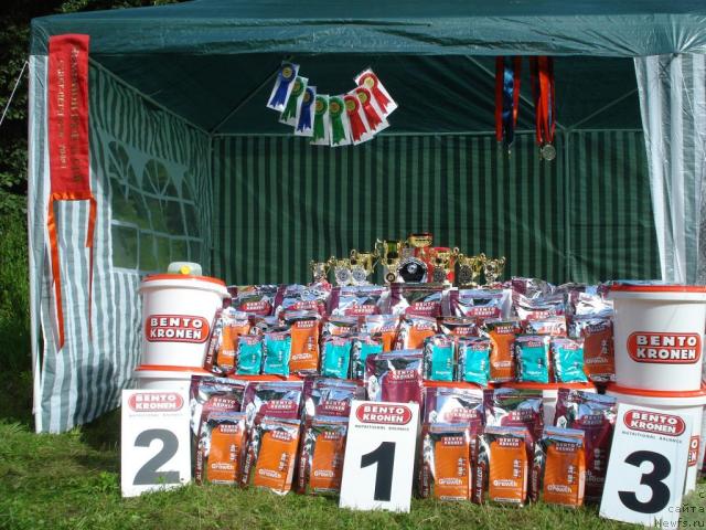 Фотография № 16770